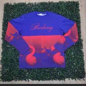 Burberry Tee Swan Graph